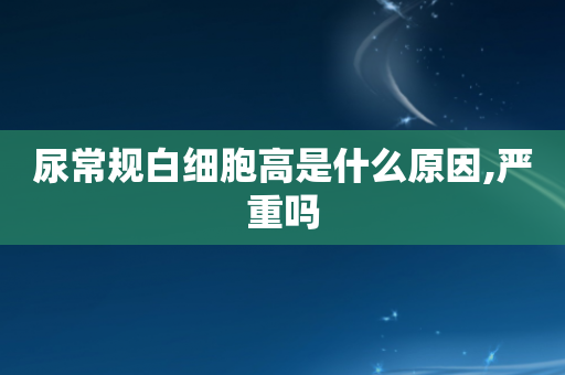 尿常规白细胞高是什么原因,严重吗