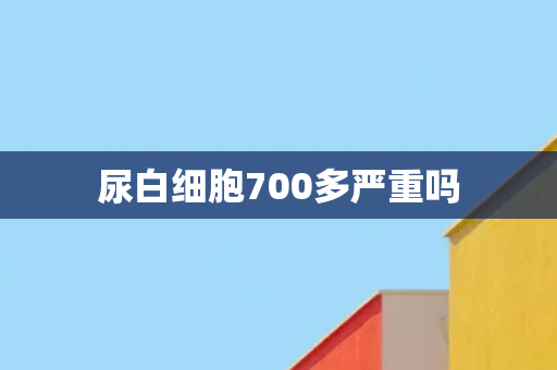 尿白细胞700多严重吗