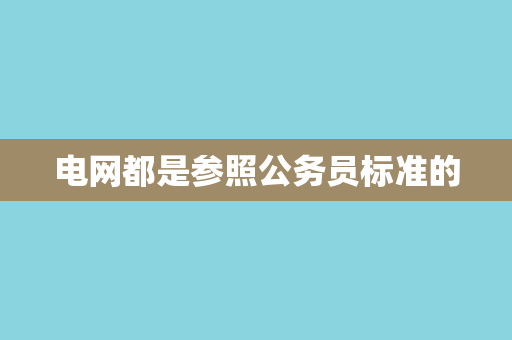 电网都是参照公务员标准的